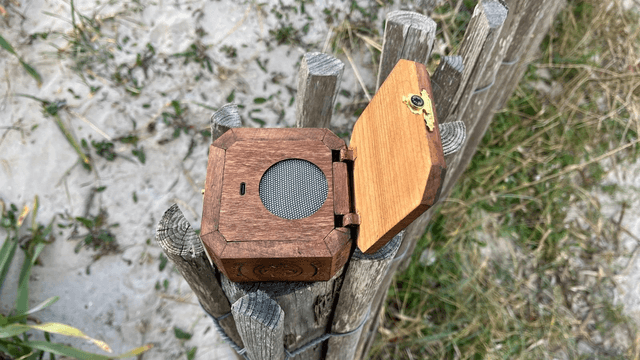 Bluetooth Speaker in Romanian Hand Carved Box
