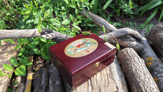 Paradiso Cigar Box Guitar Amplifier