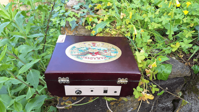 Paradiso Cigar Box Guitar Amplifier